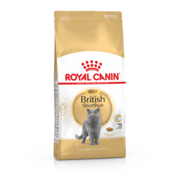 Royal Canin British Shorthair Adult 10kg